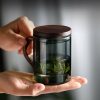 Glass Tea Cups | Office Glass Tea Cup With Wooden Handle Glass Tea Cups Glass Tea Cups